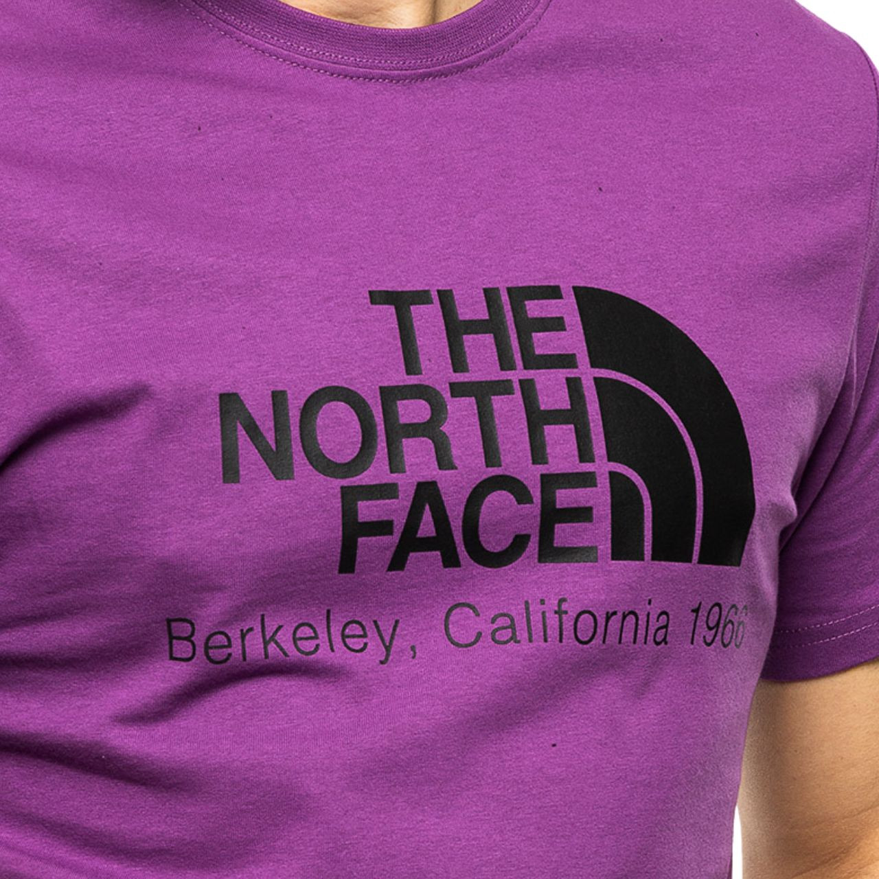 Футболка The North Face BERKELEY CALIFORNIА NF0A55GELV11