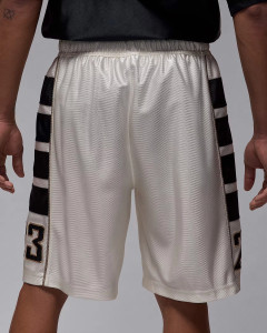 Шорти Jordan M BRK CAT SCRATCH SHORT HV0560-133