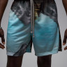 Шорти чоловічі Air Jordan Sprt Mesh Blue HQ8782-009