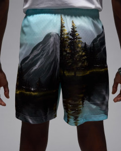 Шорти чоловічі Air Jordan Sprt Mesh Blue HQ8782-009