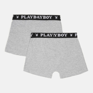 Труси-боксери Набір з 2 Playboy ANNYA PLAYBOY BOXERSHORT сірий Чол L ANNYA-29