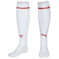 Гетри футбольні PUMA V5.08 білі 700478-12 700478-12