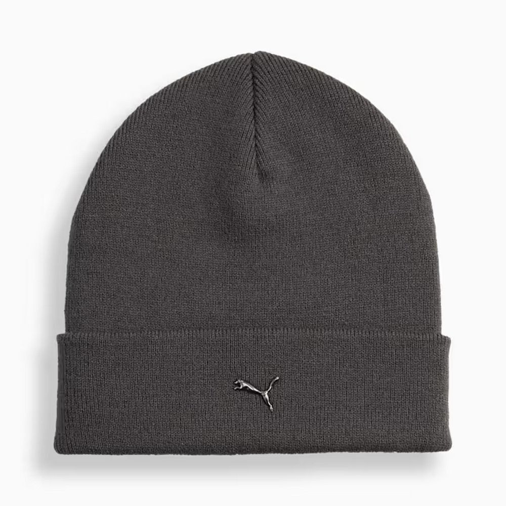 Шапка METALPUMACAT HighCrownBeanie 2640403