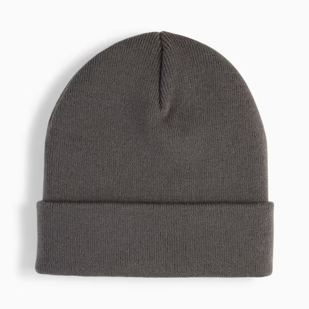 Шапка METALPUMACAT HighCrownBeanie 2640403
