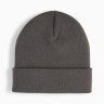 Шапка METALPUMACAT HighCrownBeanie 2640403