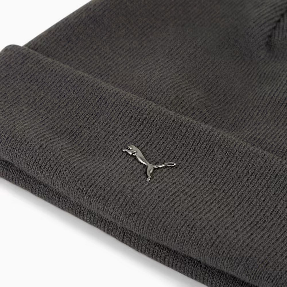 Шапка METALPUMACAT HighCrownBeanie 2640403