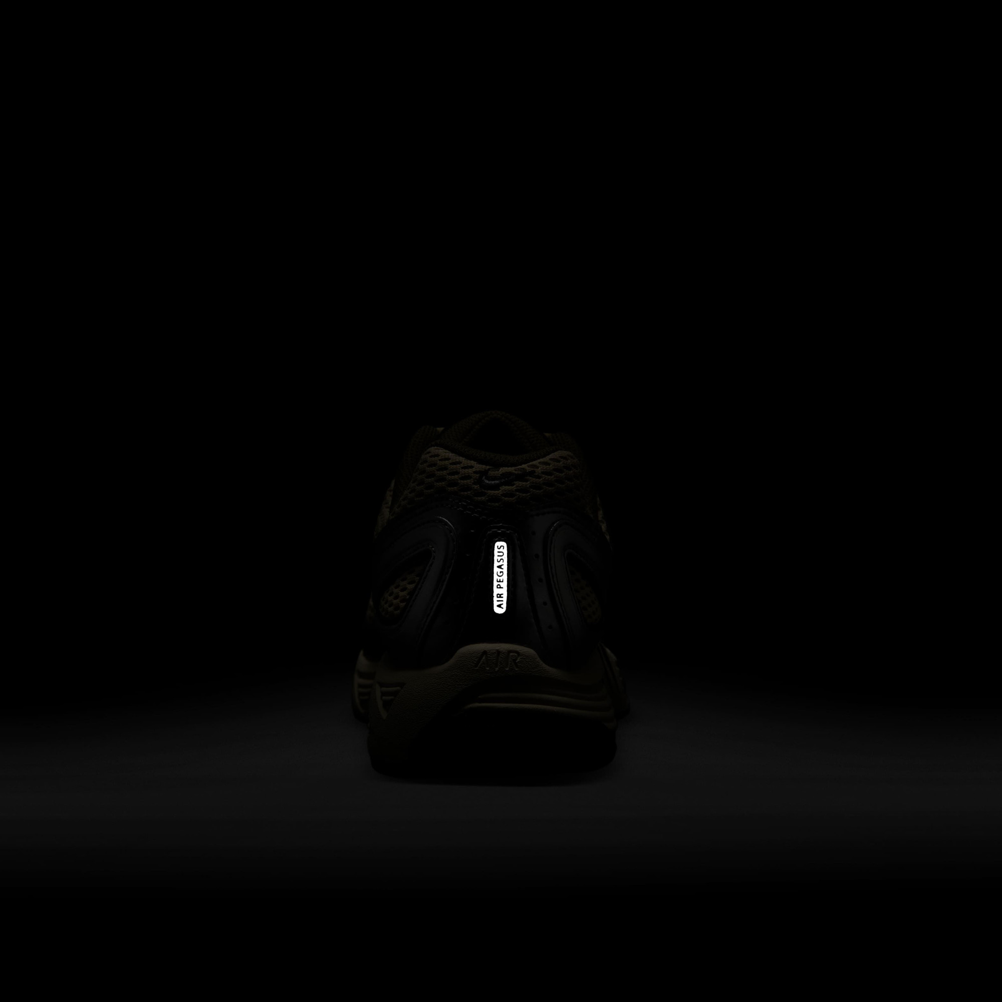 Кросівки NIKE AIR PEGASUS 2005 HV5748-234