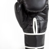Рукавиці боксерські Everlast CORE 2 TRAINING GLOVE чорний Уні S/M P00002327
