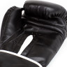 Рукавиці боксерські Everlast CORE 2 TRAINING GLOVE чорний Уні S/M P00002327