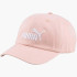Кепка Puma Essentials No.1 Cap 24357-03