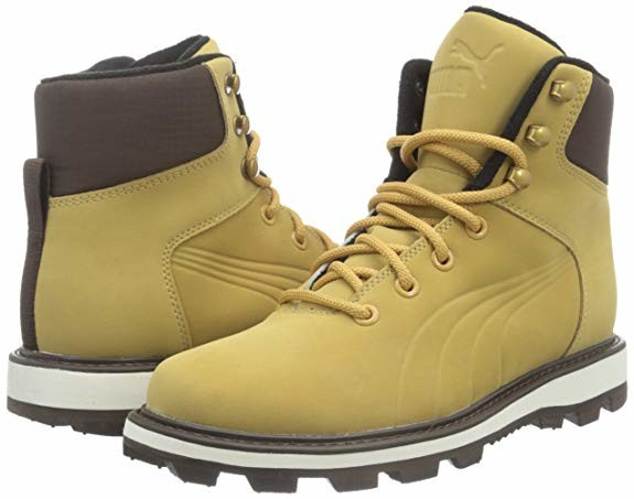 Черевики Puma Desierto Fun 361192-01