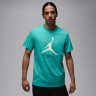 Футболка Jordan JUMPMAN FLIGHT HBR TEE AO0664-392