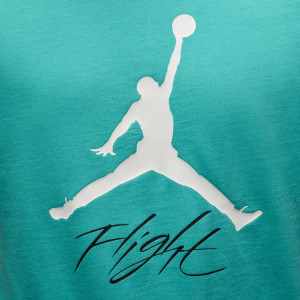 Футболка Jordan JUMPMAN FLIGHT HBR TEE AO0664-392