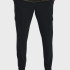 Штани UNDER ARMOUR Stretch Woven Cargo Pants black 1380358 001