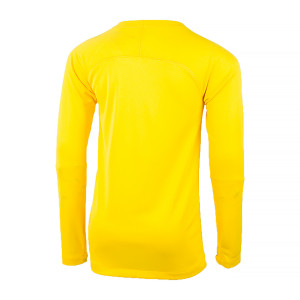 Термокофта Nike Y NK DF PARK 1STLYR JSY LS AV2611-719