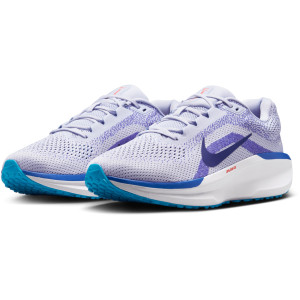Кросівки Nike Winflo 11 FJ9509-006