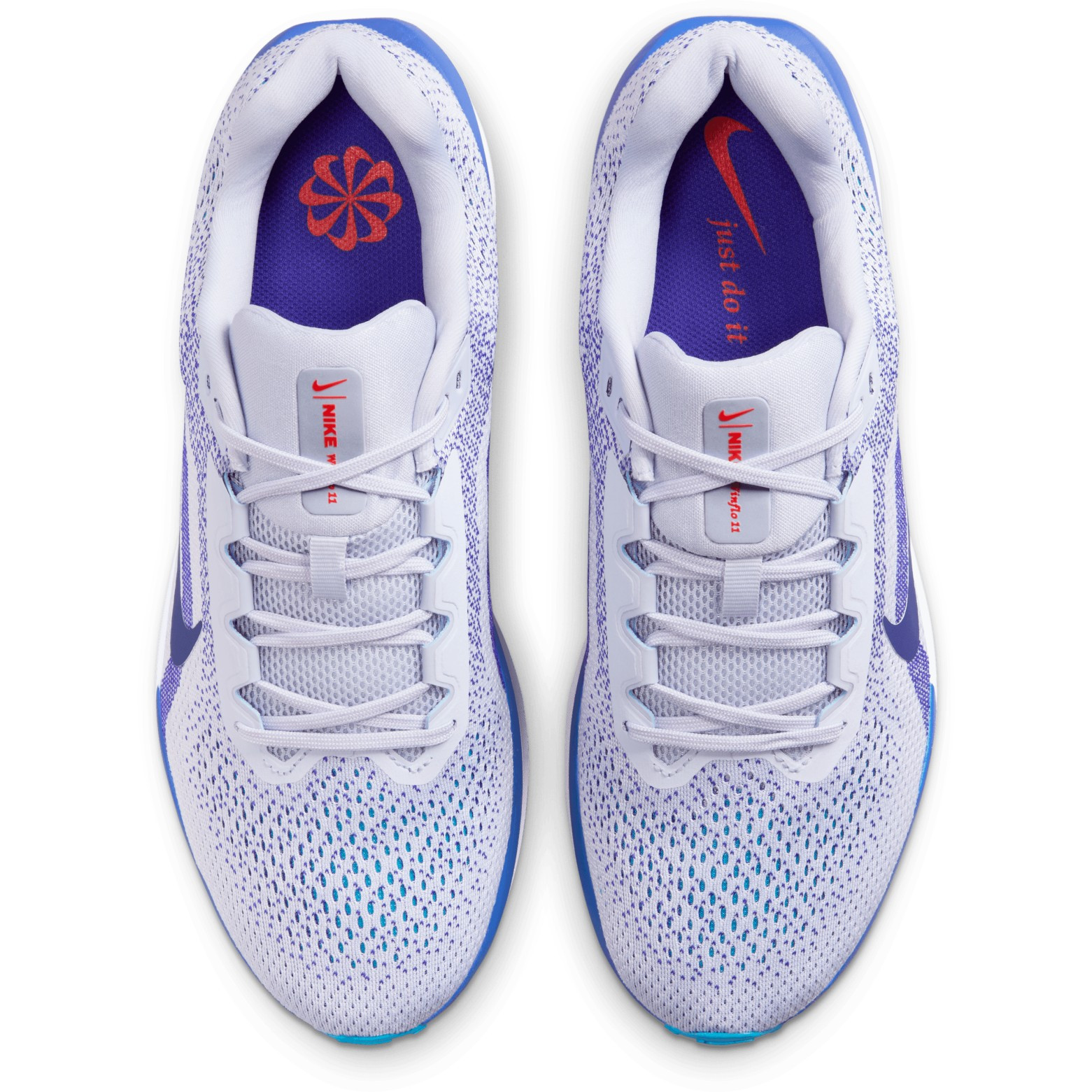 Кросівки Nike Winflo 11 FJ9509-006