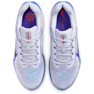 Кросівки Nike Winflo 11 FJ9509-006