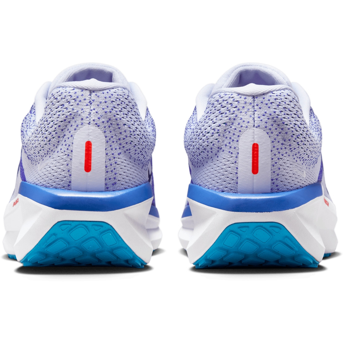 Кросівки Nike Winflo 11 FJ9509-006