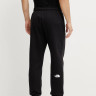 Штани SIMPLE DOME REGULAR T 0A8C1WJK31 THE NORTH FACE REGL Чорний 0A8C1WJK31