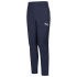 Штани PUMA Liga Training Pants 655638-06