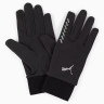 Рукавиці Unisex PR Winter Gloves 04200401 Puma L Чорний 04200401