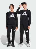 Костюм спортивний підлітковий J BL FT JOG 240 JD2102 Adidas 128 Чорний JD2102
