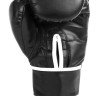Рукавиці боксерські Everlast CORE 2 TRAINING GLOVE чорний Уні L/XL P00002328