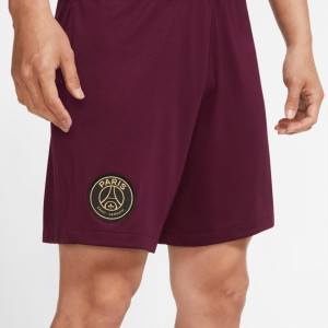 Шорти Jordan Paris Saint-Germain Shorts CK7826-612