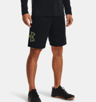 Шорти Under Armour UA Tech GRAPHIC Short 1306443-008