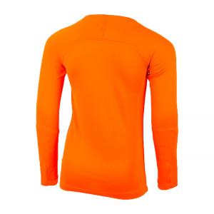 Термокофта Nike Y NK DF PARK 1STLYR JSY LS AV2611-819