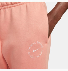 Штани Nike Sportswear Essential Fleece DR7847-824