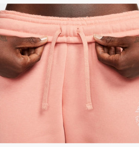 Штани Nike Sportswear Essential Fleece DR7847-824