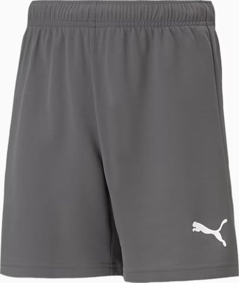 Шорти Puma teamRISE Short Jr сірий Діт 116 см 704943-13