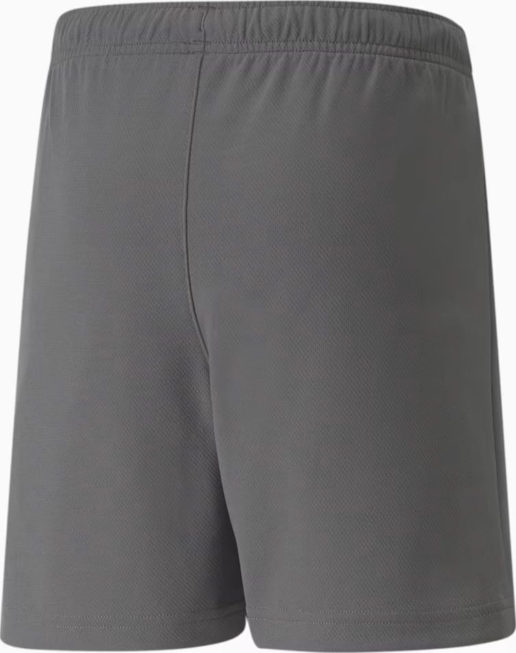 Шорти Puma teamRISE Short Jr сірий Діт 116 см 704943-13