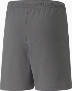 Шорти Puma teamRISE Short Jr сірий Діт 116 см 704943-13