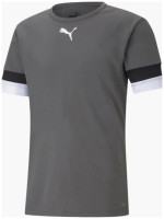 Футболка чоловіча Puma Teamrise Jersey Green 704932-13