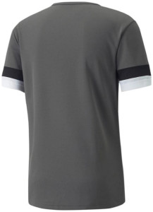 Футболка чоловіча Puma Teamrise Jersey Green 704932-13