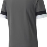 Футболка чоловіча Puma Teamrise Jersey Green 704932-13