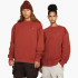 Футболка Nike ACG Therma-FIT Oversized Crew Sweatshirt Mars Stone DM9941-641