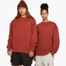 Футболка Nike ACG Therma-FIT Oversized Crew Sweatshirt Mars Stone DM9941-641
