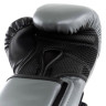 Рукавиці боксерські Everlast POWERLOCK 2R TRAINING GLOVE сірий, чорний Уні 10 унцій P00002304