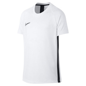 Футболка Nike Academy AO0739-100 AO0739-100