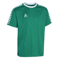 Футболка Select Argentina player shirt s/s 622500-005
