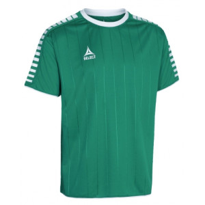 Футболка Select Argentina player shirt s/s 622500-005