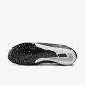 Кросівки Nike NIKE ZOOM RIVAL SPRINT DC8753-001