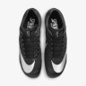 Кросівки Nike NIKE ZOOM RIVAL SPRINT DC8753-001