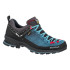 Кросівки Salewa WS MTN Trainer 2 GTX 013.001.4342