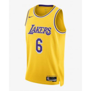 Майка NIKE LAL MDF SWGMN JSY ICN B22 DN2140-728