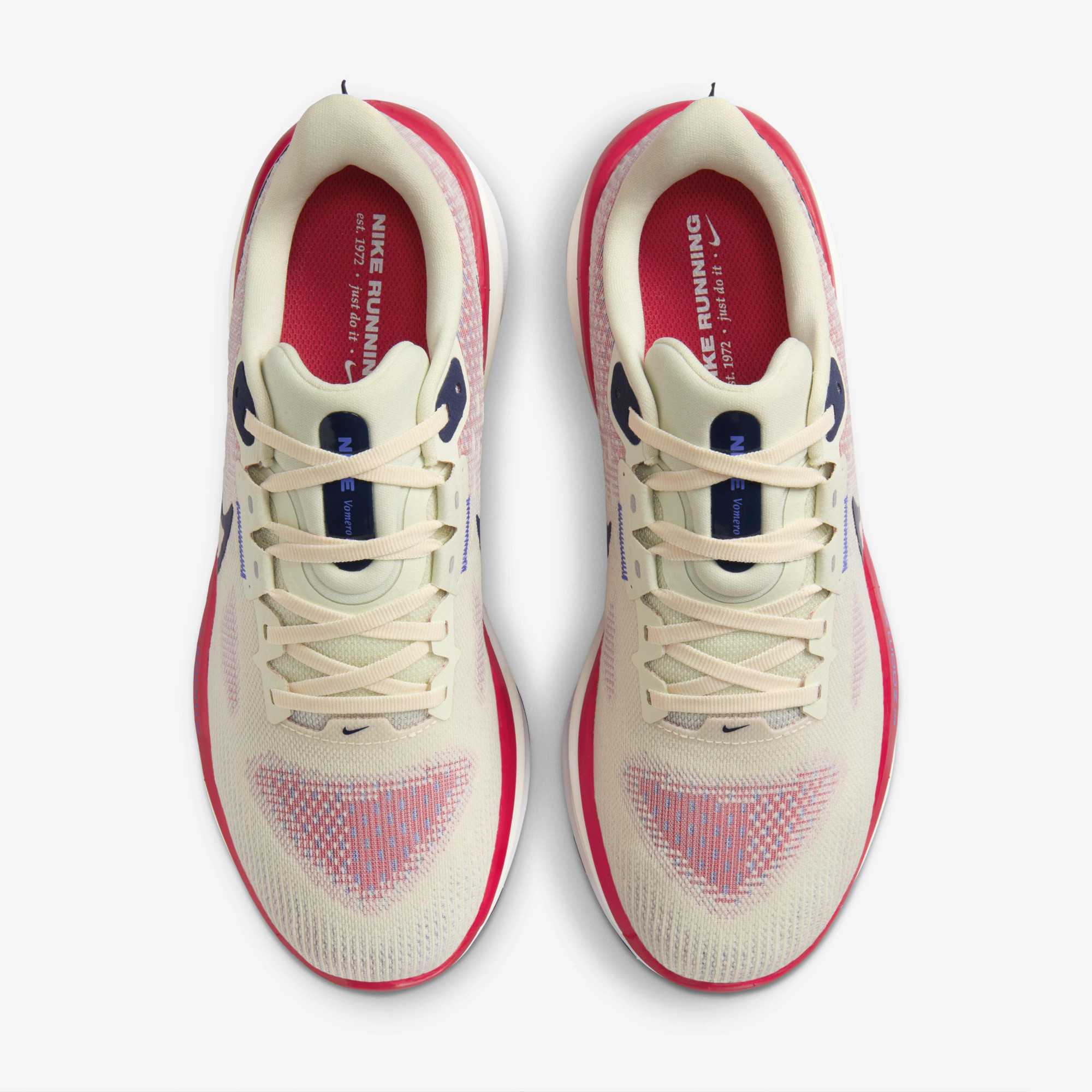 Кросівки Nike Air Zoom Vomero 17 FB1309-003